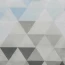 optimize (1)